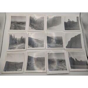 12 Vintage Black White Colorado Rocky Mountain Photos 1950s Landscape Trees